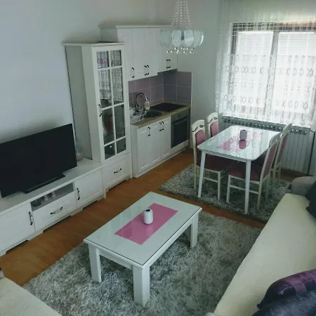 Daire Apartman Jovanovic 1 *